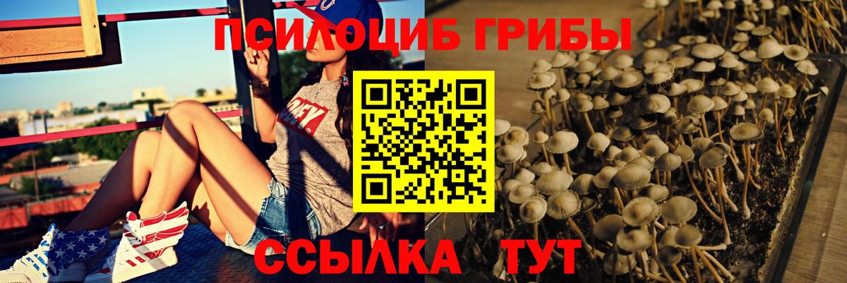 Псилоцибиновые грибы Psilocybine cubensis  Вход с VPN  Галлюциногенные грибы GOLDEN TEACHER  Канаш 